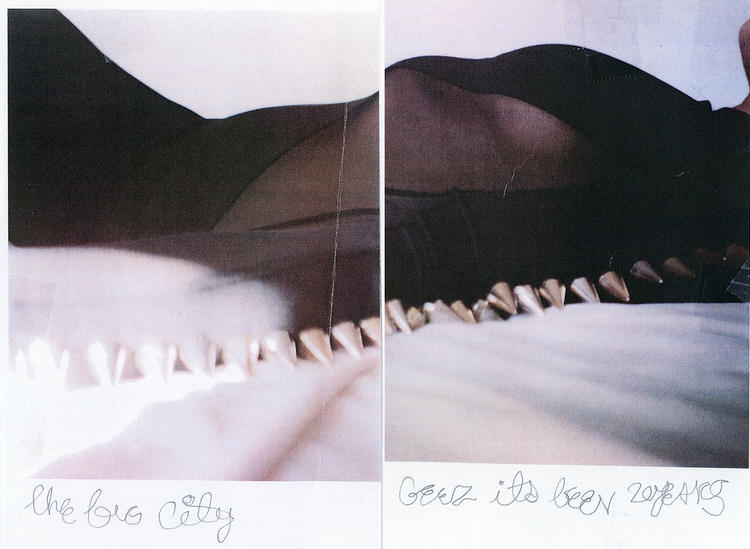 Carousel Image number 3